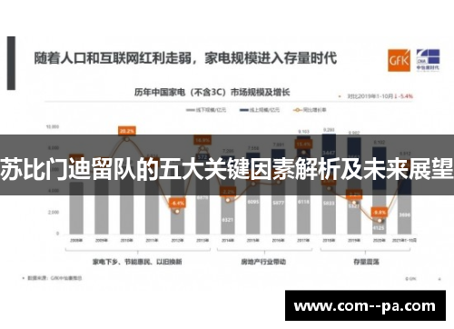 苏比门迪留队的五大关键因素解析及未来展望