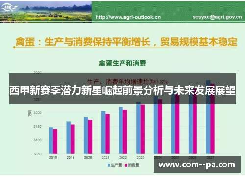 西甲新赛季潜力新星崛起前景分析与未来发展展望