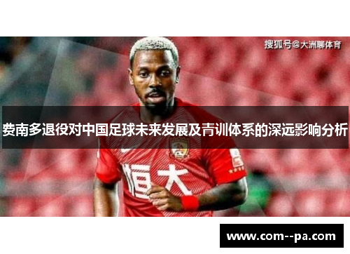 费南多退役对中国足球未来发展及青训体系的深远影响分析