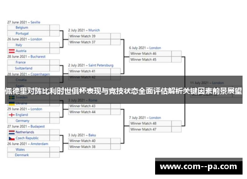 佩德里对阵比利时世俱杯表现与竞技状态全面评估解析关键因素前景展望