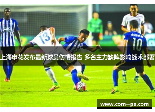 上海申花发布最新球员伤情报告 多名主力缺阵影响战术部署 上海申花发布最新球员伤情报告 多名主力缺阵影响战术部署